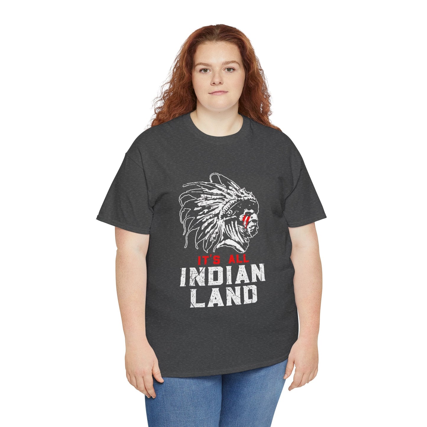 Say It Without Saying It Indigenous Pride Tee, Unisex Heavy Cotton Top, Statement Shirt, Native American Heritage, Gift for Activists, Cultural Appreciation Shirt - Metamorphosis Creations