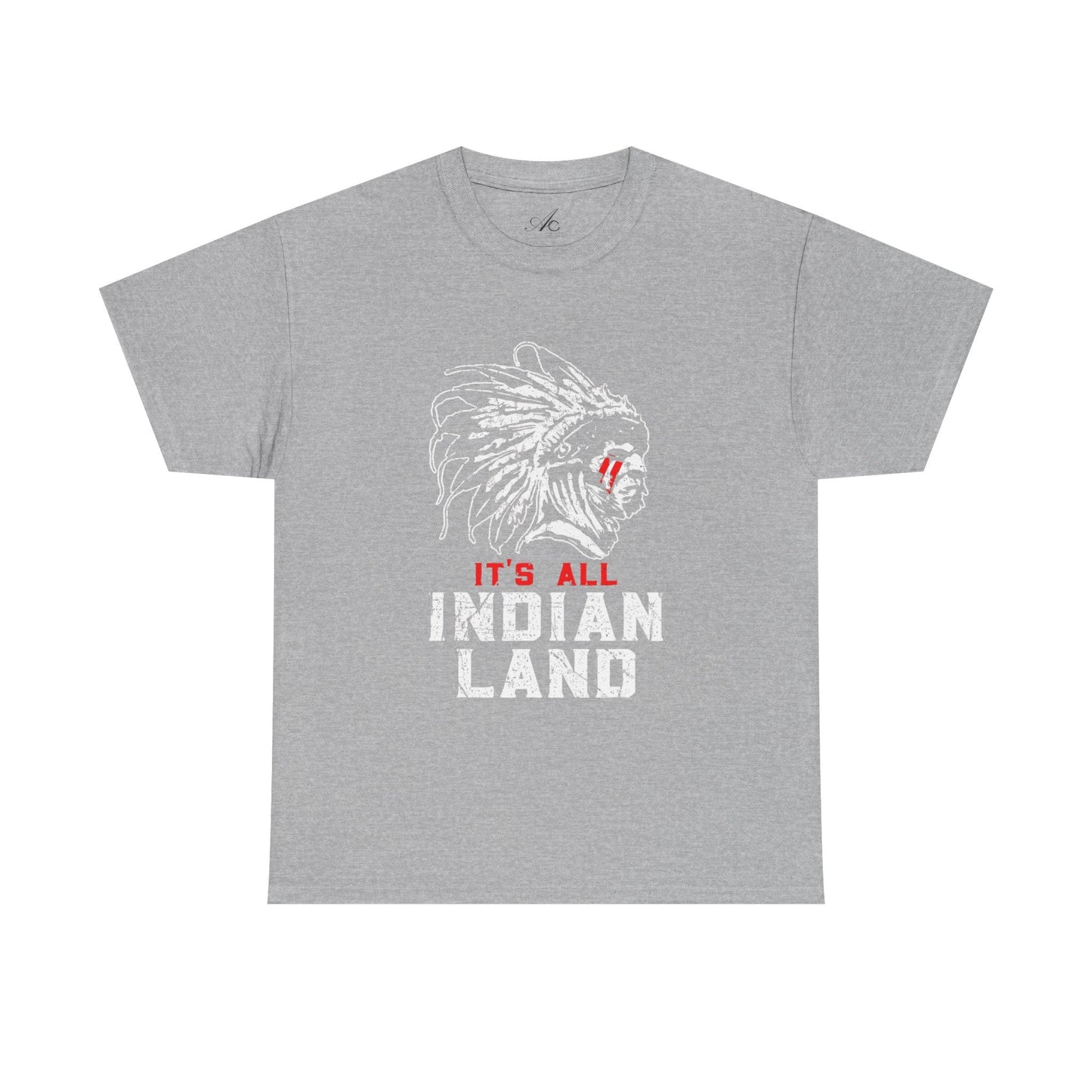 Say It Without Saying It Indigenous Pride Tee, Unisex Heavy Cotton Top, Statement Shirt, Native American Heritage, Gift for Activists, Cultural Appreciation Shirt - Metamorphosis Creations