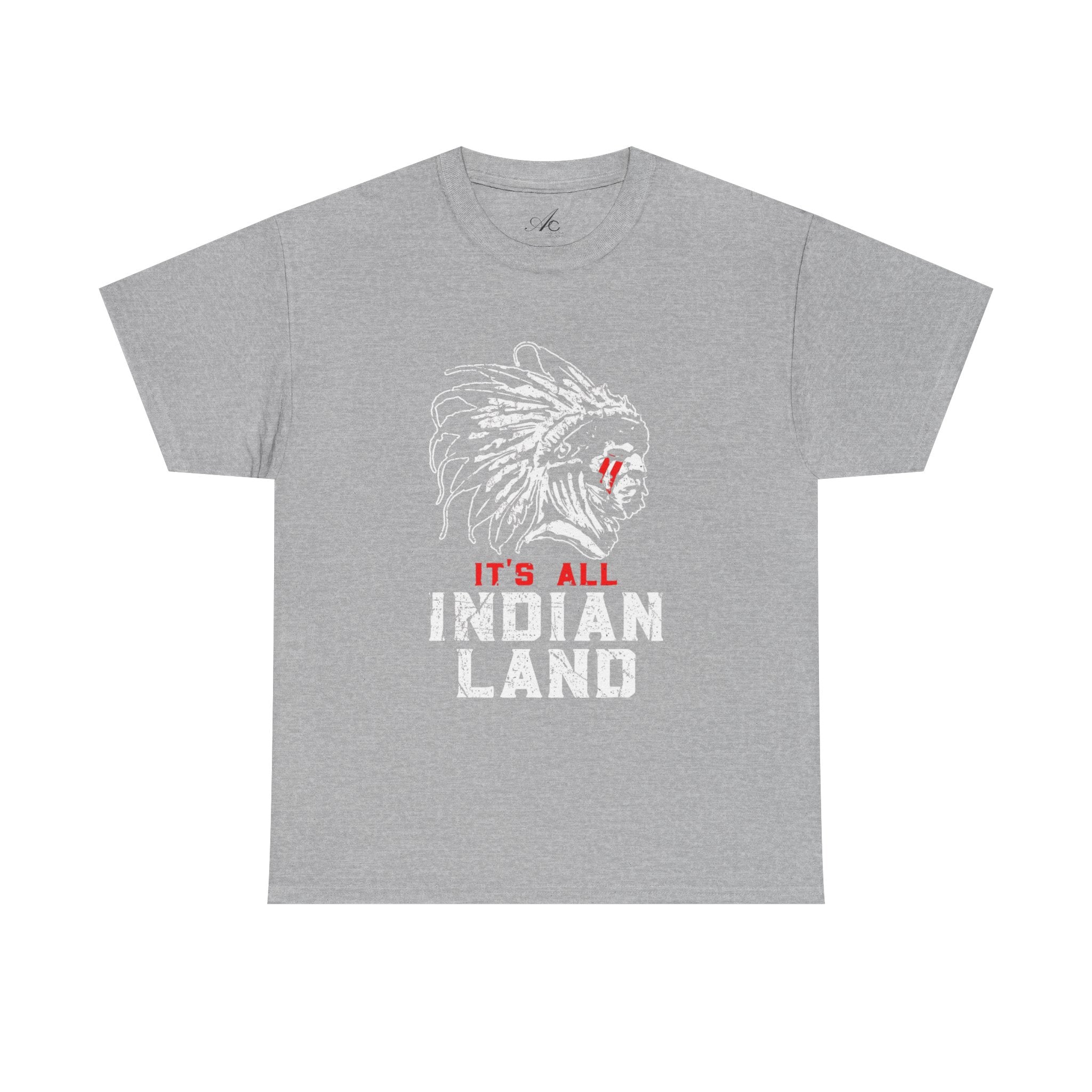 Say It Without Saying It Indigenous Pride Tee, Unisex Heavy Cotton Top, Statement Shirt, Native American Heritage, Gift for Activists, Cultural Appreciation Shirt - Metamorphosis Creations