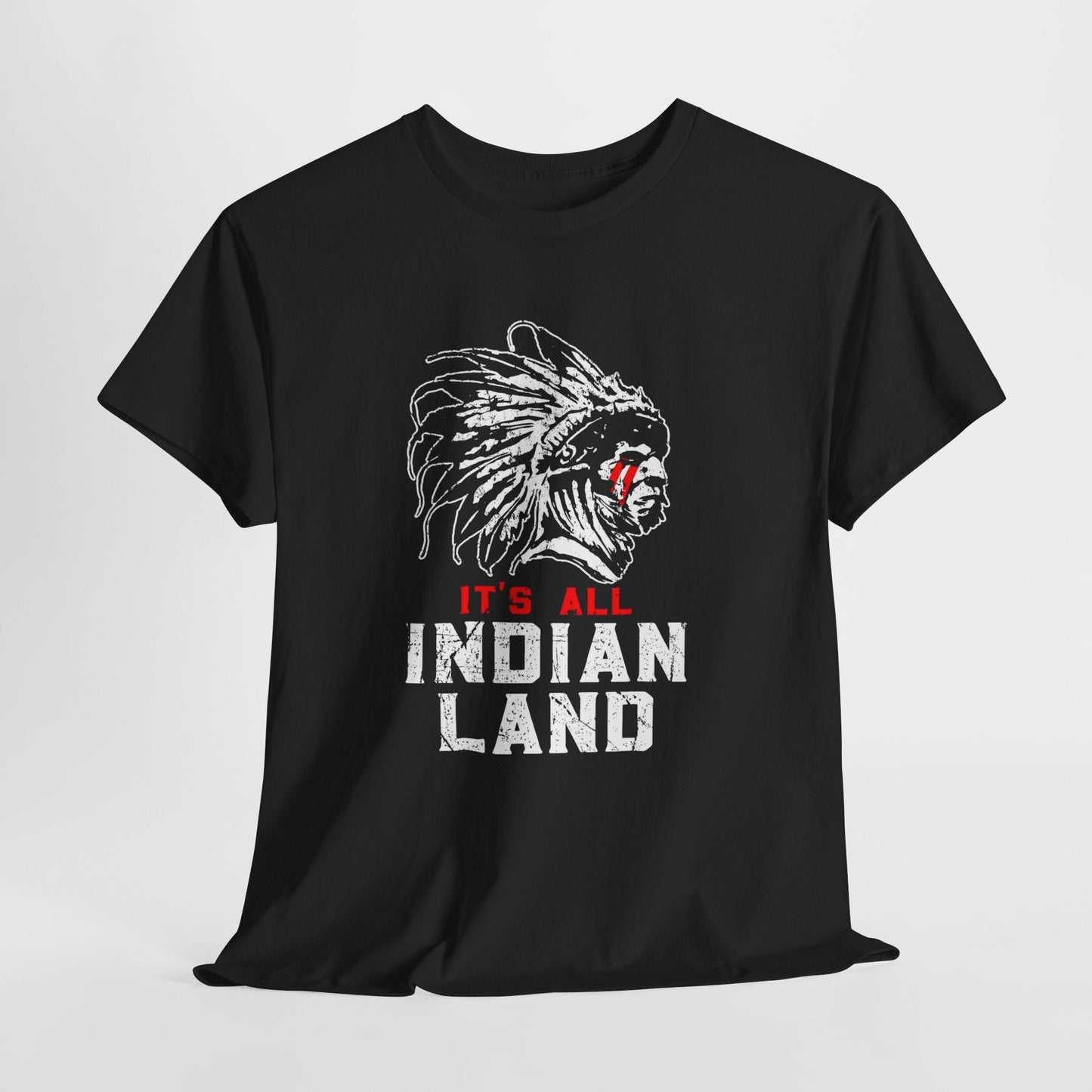 Say It Without Saying It Indigenous Pride Tee, Unisex Heavy Cotton Top, Statement Shirt, Native American Heritage, Gift for Activists, Cultural Appreciation Shirt - Metamorphosis Creations