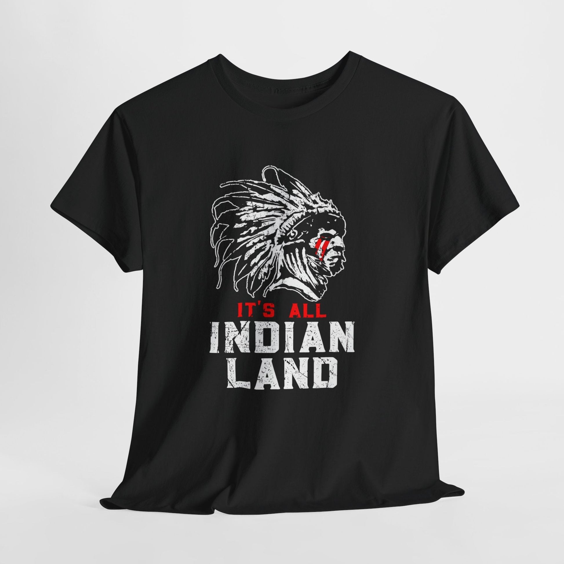 Say It Without Saying It Indigenous Pride Tee, Unisex Heavy Cotton Top, Statement Shirt, Native American Heritage, Gift for Activists, Cultural Appreciation Shirt - Metamorphosis Creations