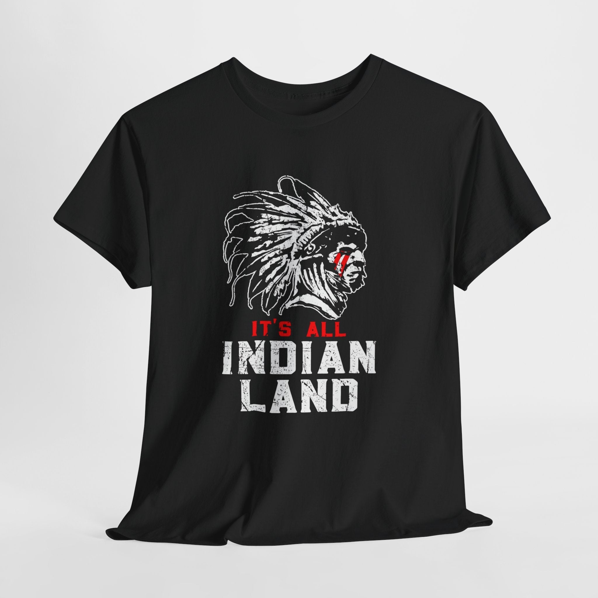Say It Without Saying It Indigenous Pride Tee, Unisex Heavy Cotton Top, Statement Shirt, Native American Heritage, Gift for Activists, Cultural Appreciation Shirt - Metamorphosis Creations