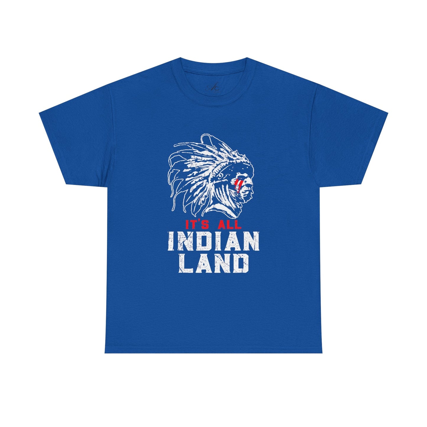 Say It Without Saying It Indigenous Pride Tee, Unisex Heavy Cotton Top, Statement Shirt, Native American Heritage, Gift for Activists, Cultural Appreciation Shirt - Metamorphosis Creations