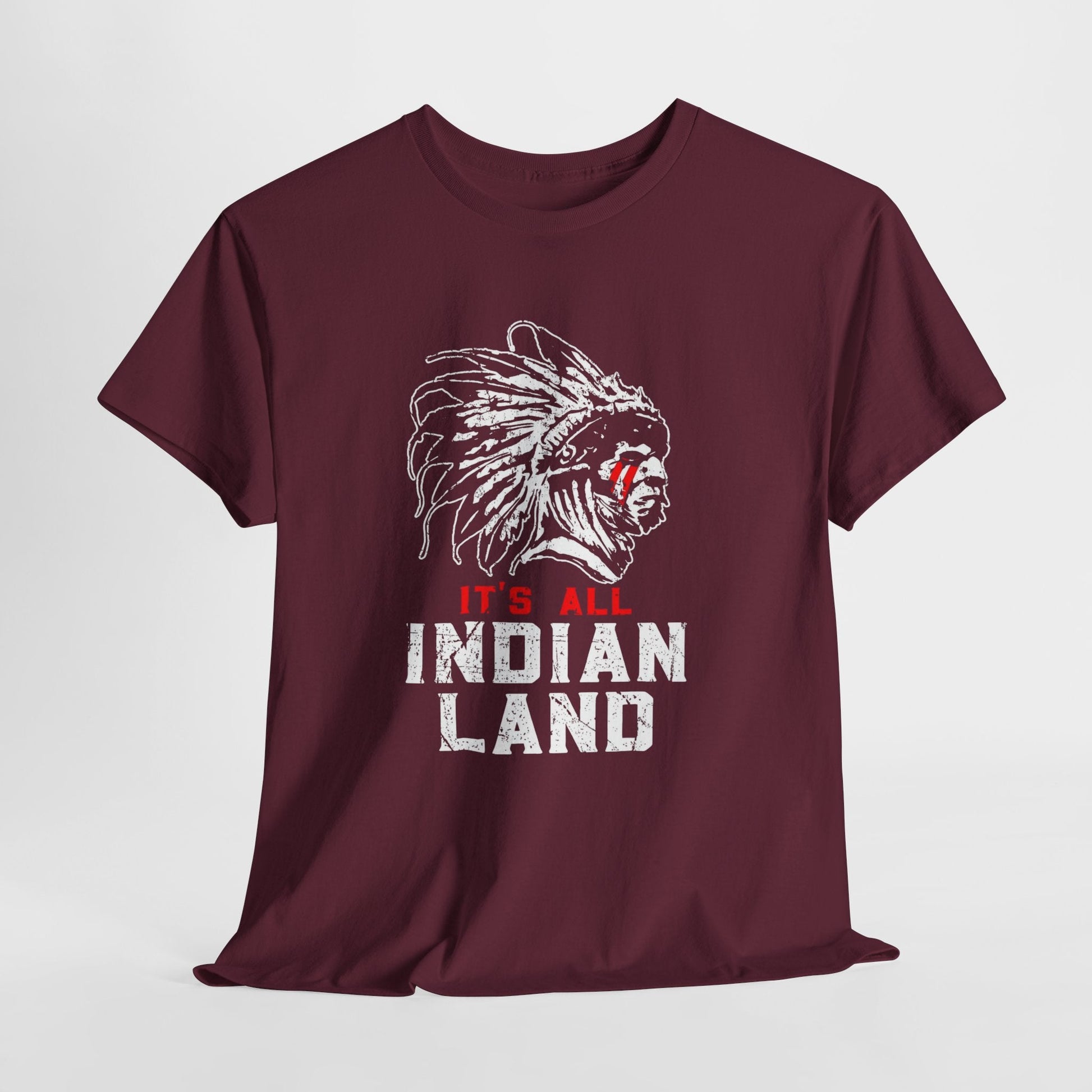 Say It Without Saying It Indigenous Pride Tee, Unisex Heavy Cotton Top, Statement Shirt, Native American Heritage, Gift for Activists, Cultural Appreciation Shirt - Metamorphosis Creations