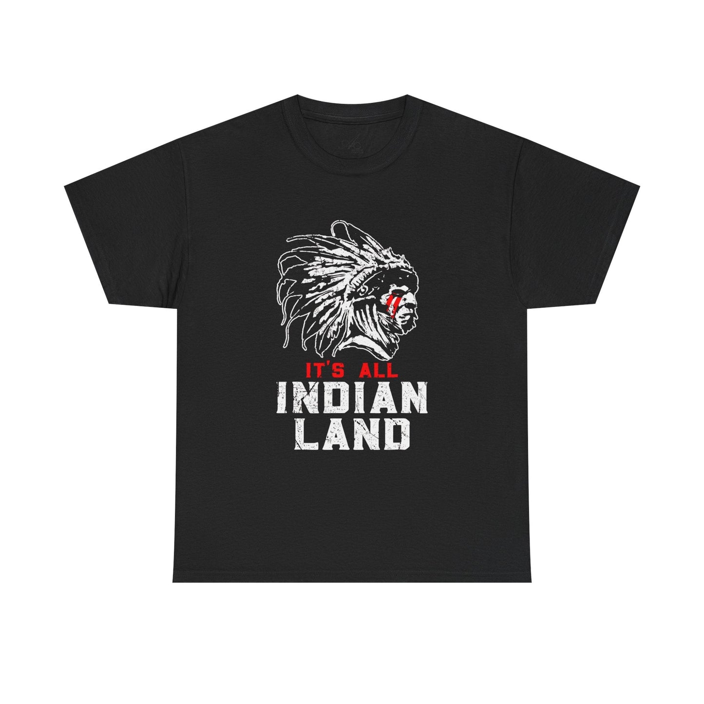 Say It Without Saying It Indigenous Pride Tee, Unisex Heavy Cotton Top, Statement Shirt, Native American Heritage, Gift for Activists, Cultural Appreciation Shirt - Metamorphosis Creations