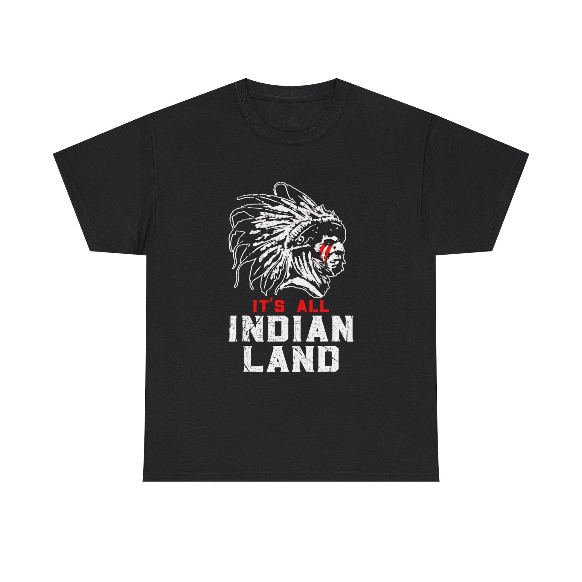 Say It Without Saying It Indigenous Pride Tee, Unisex Heavy Cotton Top, Statement Shirt, Native American Heritage, Gift for Activists, Cultural Appreciation Shirt - Metamorphosis Creations