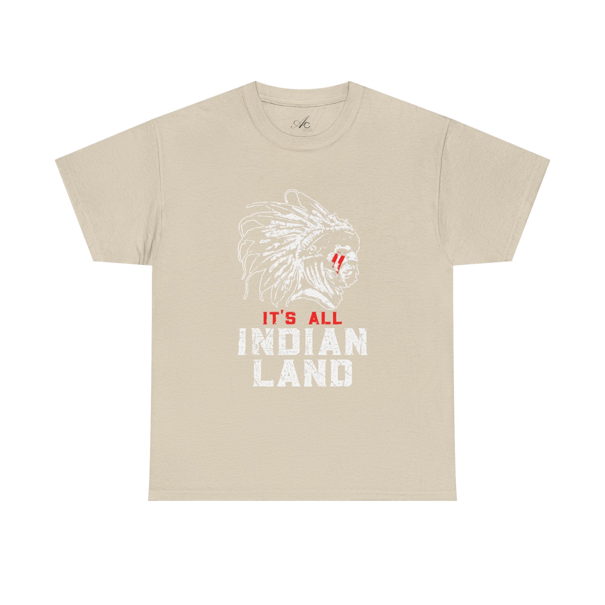 Say It Without Saying It Indigenous Pride Tee, Unisex Heavy Cotton Top, Statement Shirt, Native American Heritage, Gift for Activists, Cultural Appreciation Shirt - Metamorphosis Creations