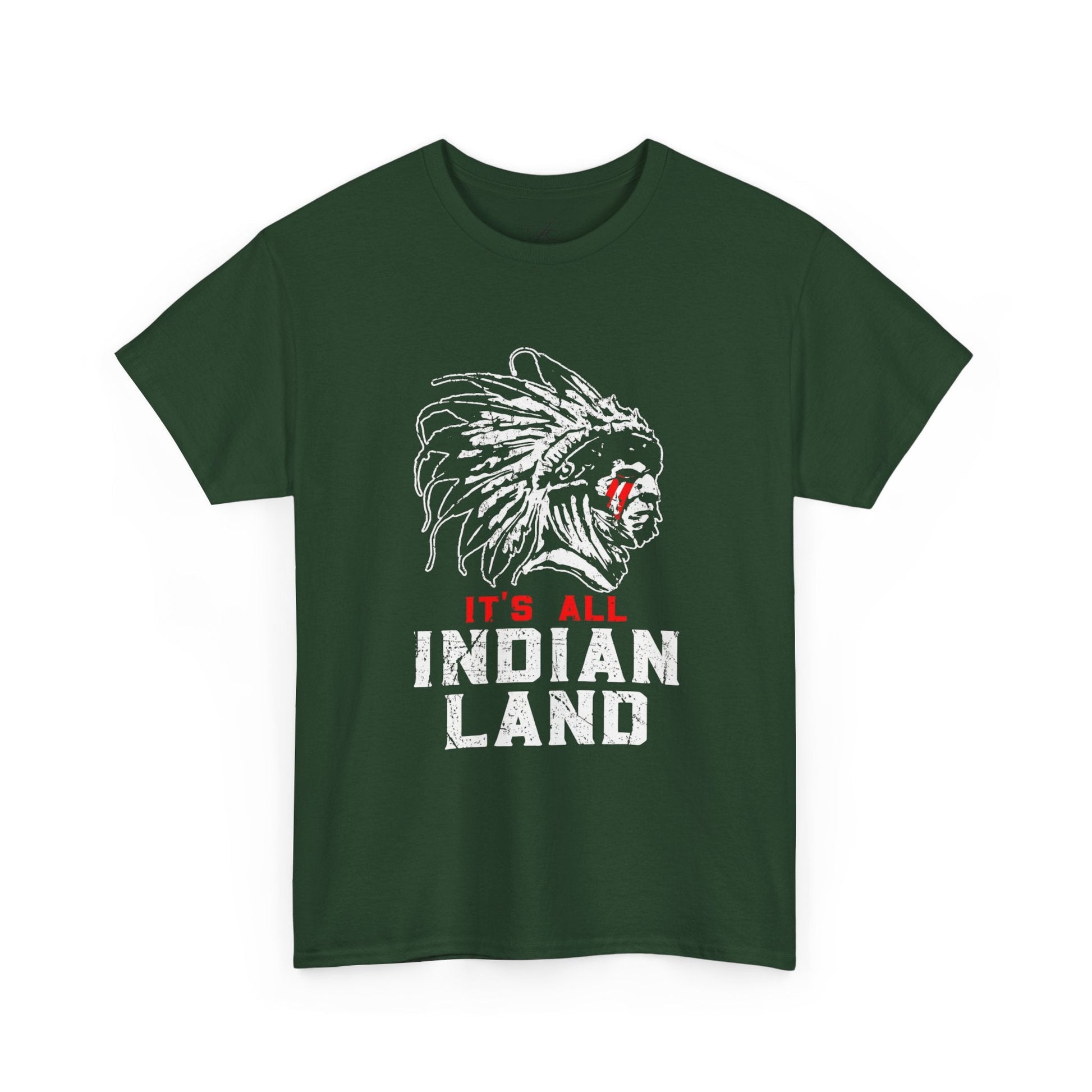 Say It Without Saying It Indigenous Pride Tee, Unisex Heavy Cotton Top, Statement Shirt, Native American Heritage, Gift for Activists, Cultural Appreciation Shirt - Metamorphosis Creations