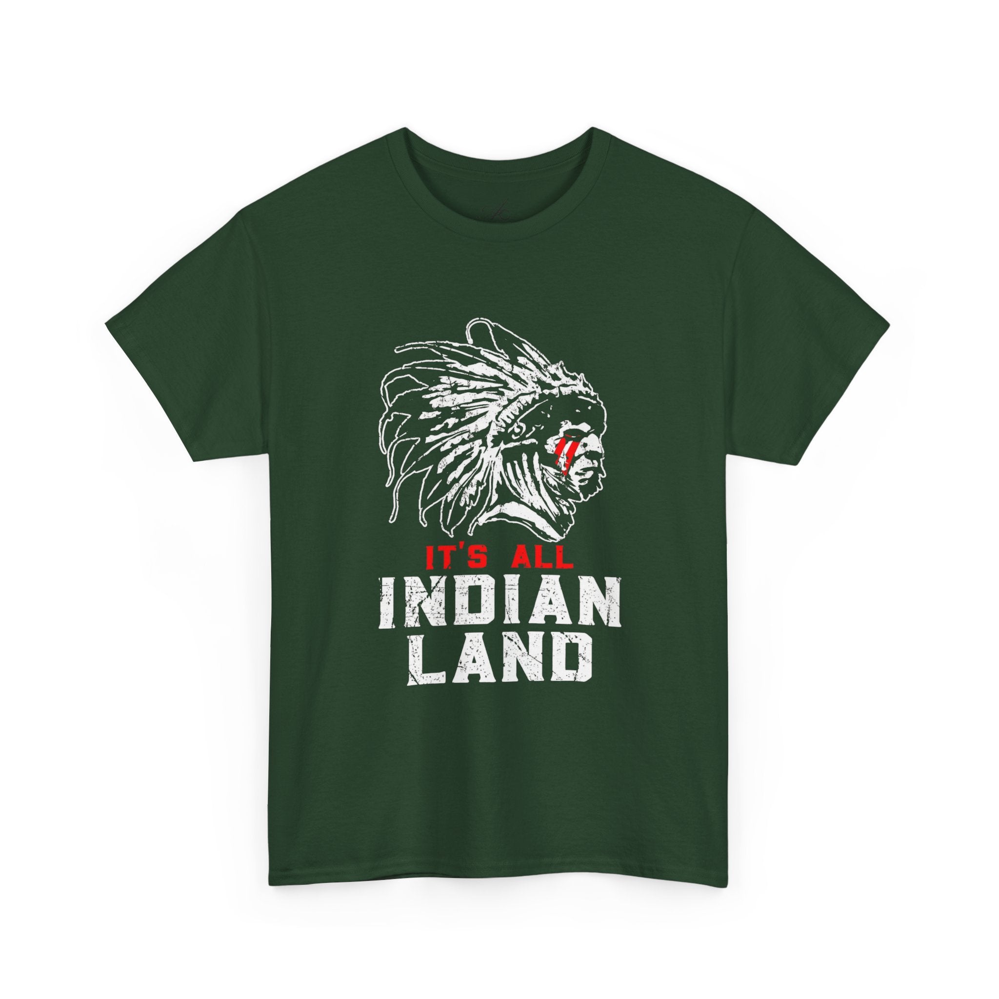 Say It Without Saying It Indigenous Pride Tee, Unisex Heavy Cotton Top, Statement Shirt, Native American Heritage, Gift for Activists, Cultural Appreciation Shirt - Metamorphosis Creations