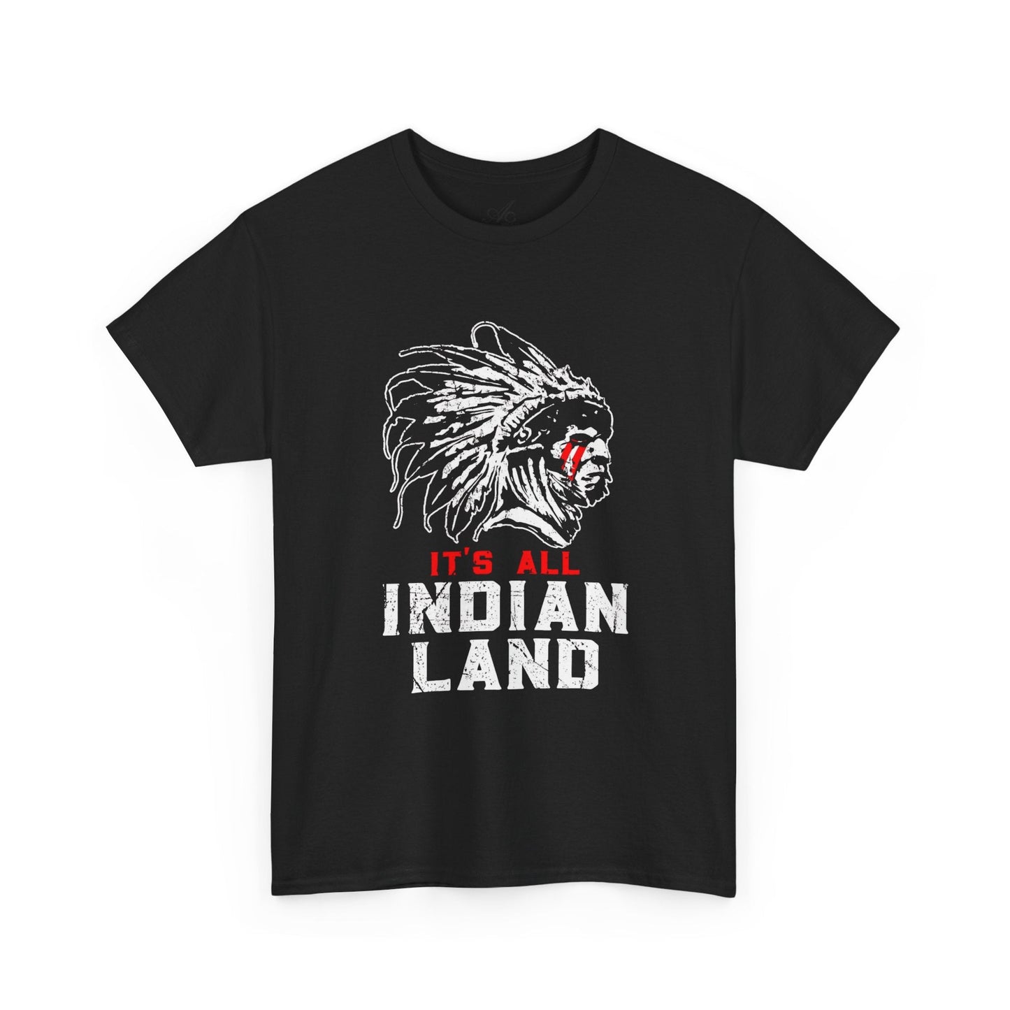 Say It Without Saying It Indigenous Pride Tee, Unisex Heavy Cotton Top, Statement Shirt, Native American Heritage, Gift for Activists, Cultural Appreciation Shirt - Metamorphosis Creations