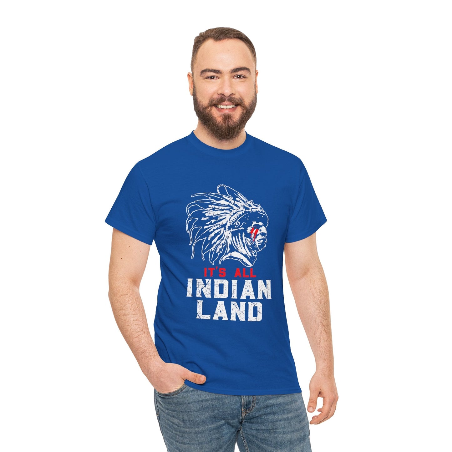 Say It Without Saying It Indigenous Pride Tee, Unisex Heavy Cotton Top, Statement Shirt, Native American Heritage, Gift for Activists, Cultural Appreciation Shirt - Metamorphosis Creations