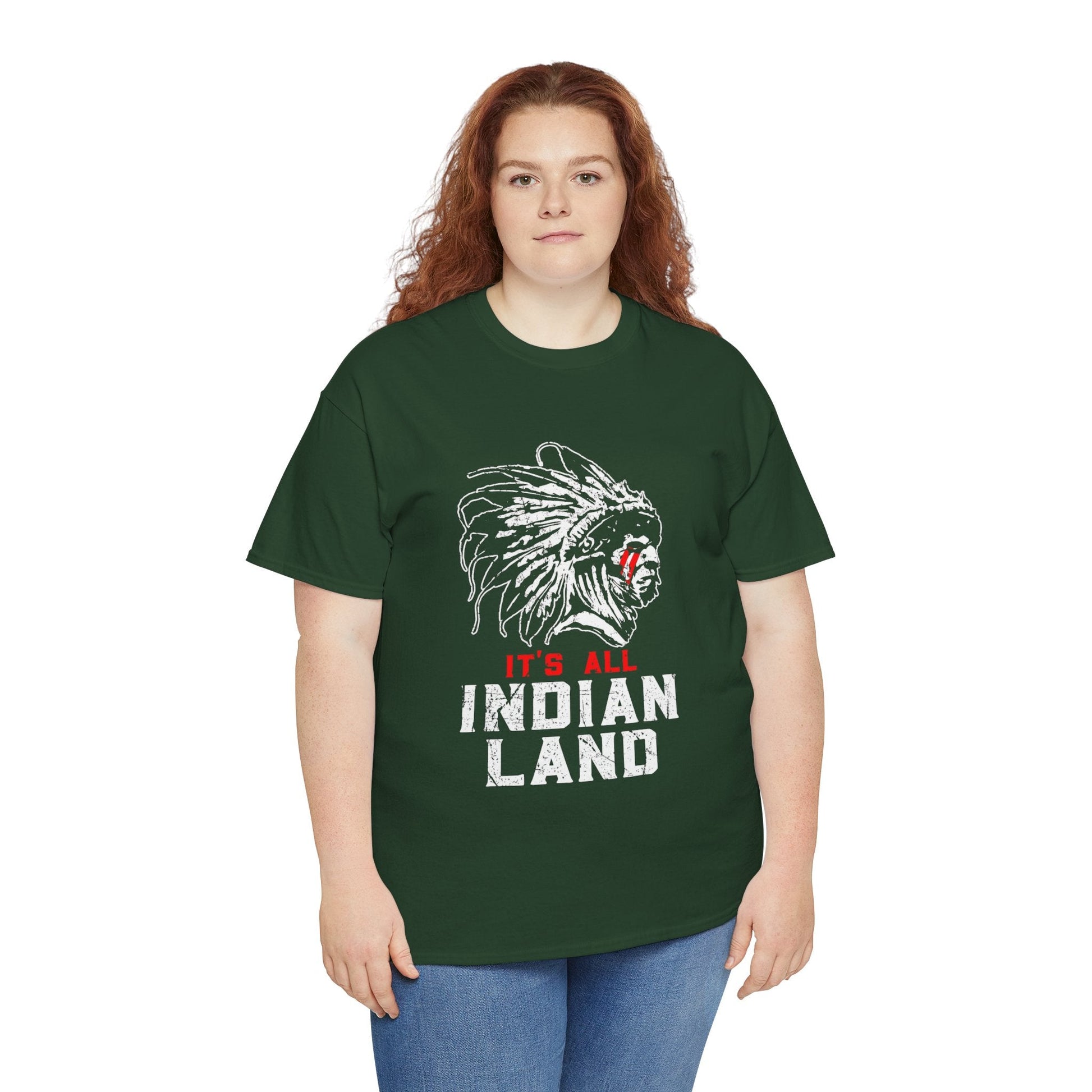 Say It Without Saying It Indigenous Pride Tee, Unisex Heavy Cotton Top, Statement Shirt, Native American Heritage, Gift for Activists, Cultural Appreciation Shirt - Metamorphosis Creations
